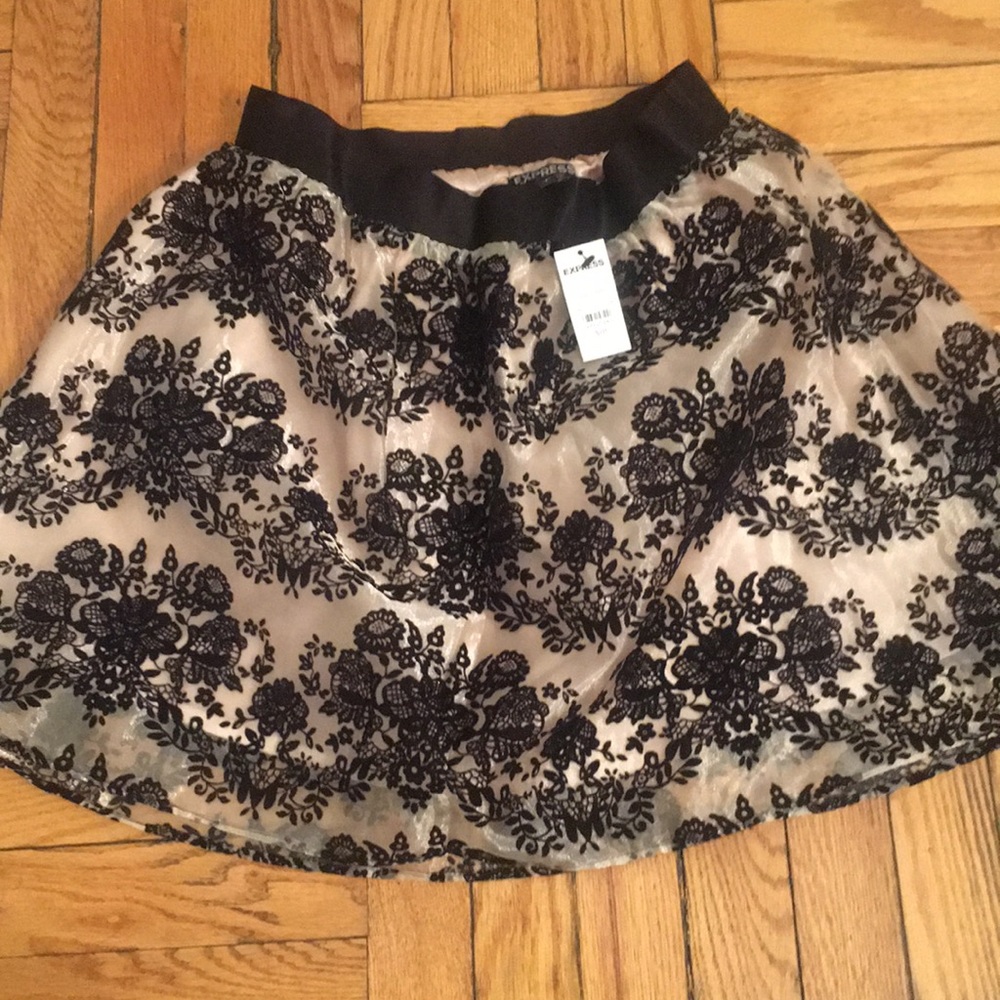 Express skirt